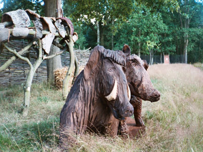 Mr. and Mrs. Boar, '04