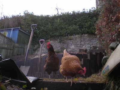 Day1 after the boundary wall was build!